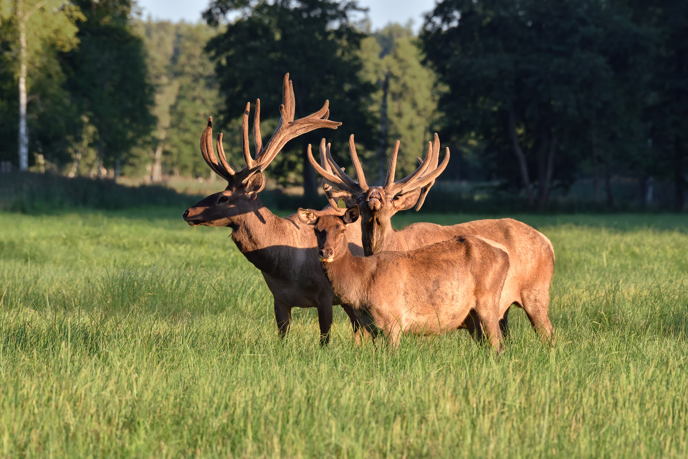 на вечеринке