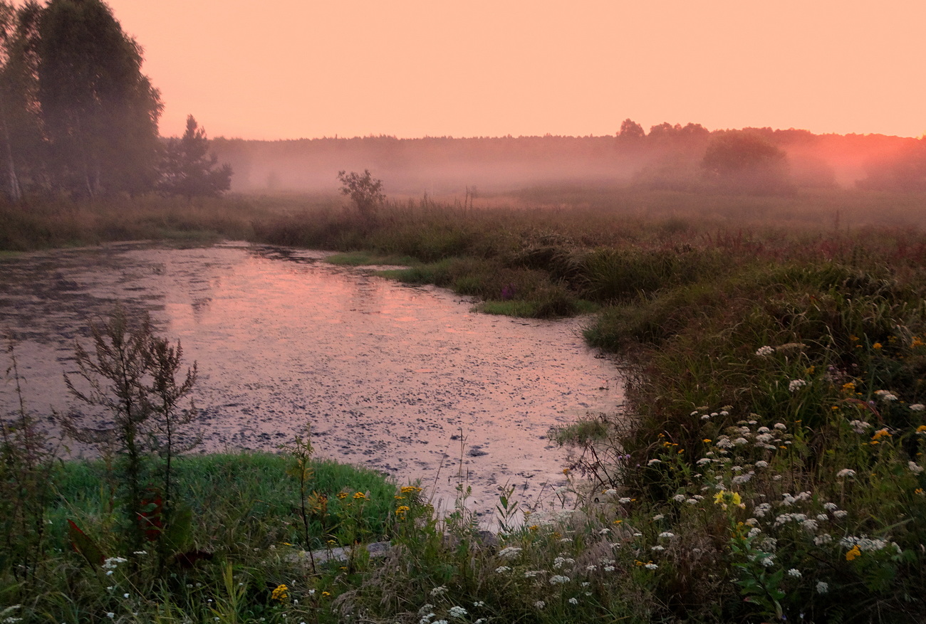Туманный розовый закат