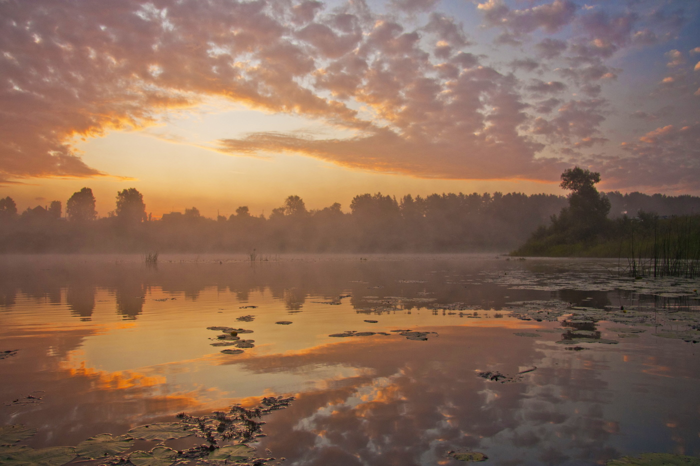 Воспоминание о лете...