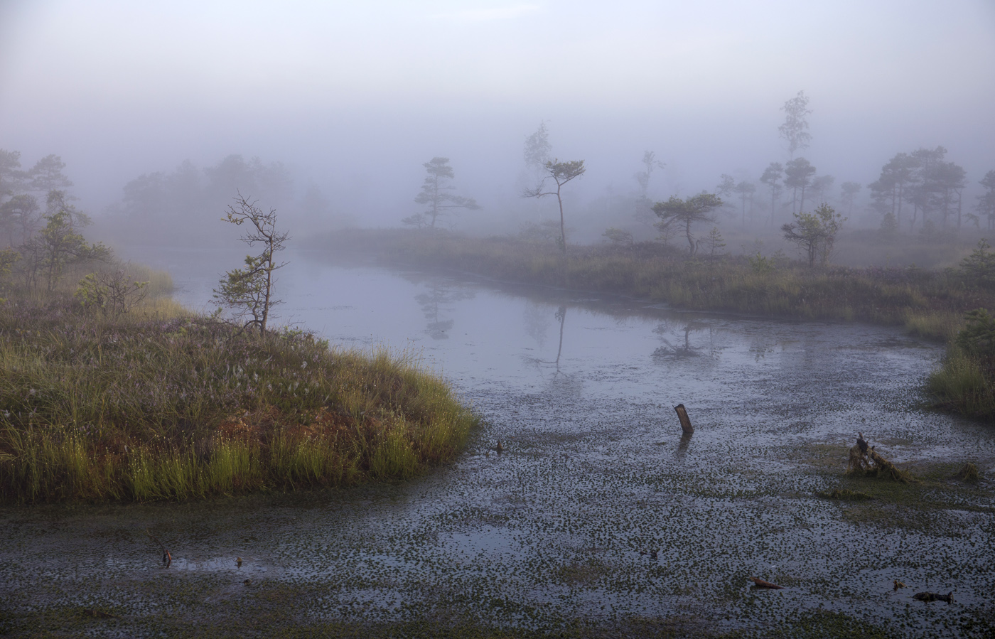 Чьи-то тени встают