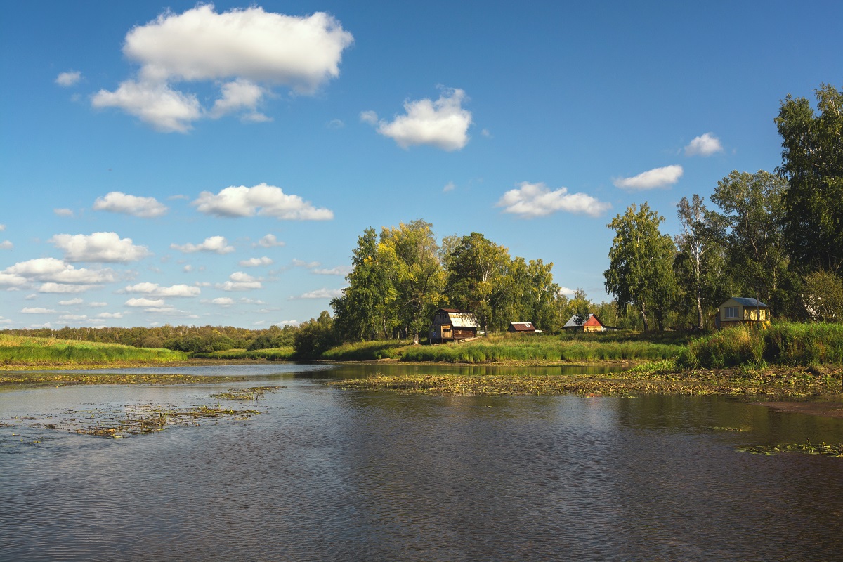 Деревенское лето.