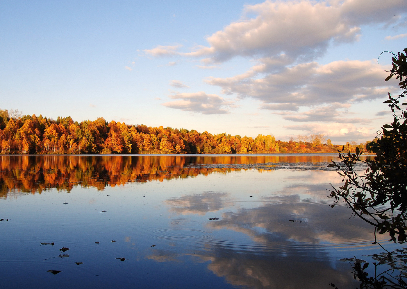 Лес, точно терем расписной....