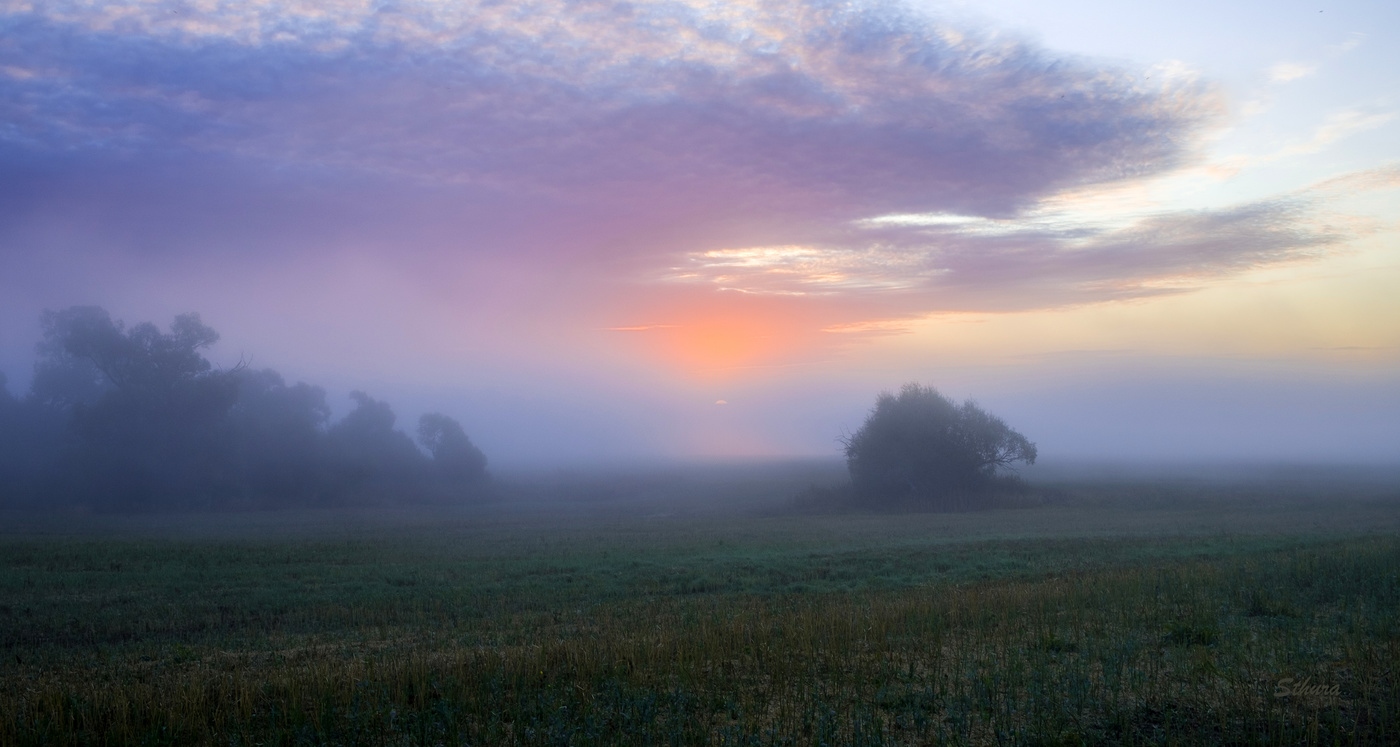 Солнце за туманом.