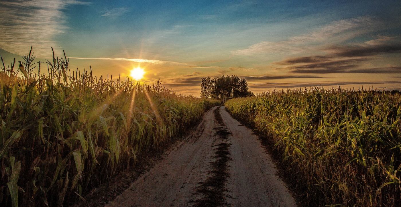 Печален осени закат...