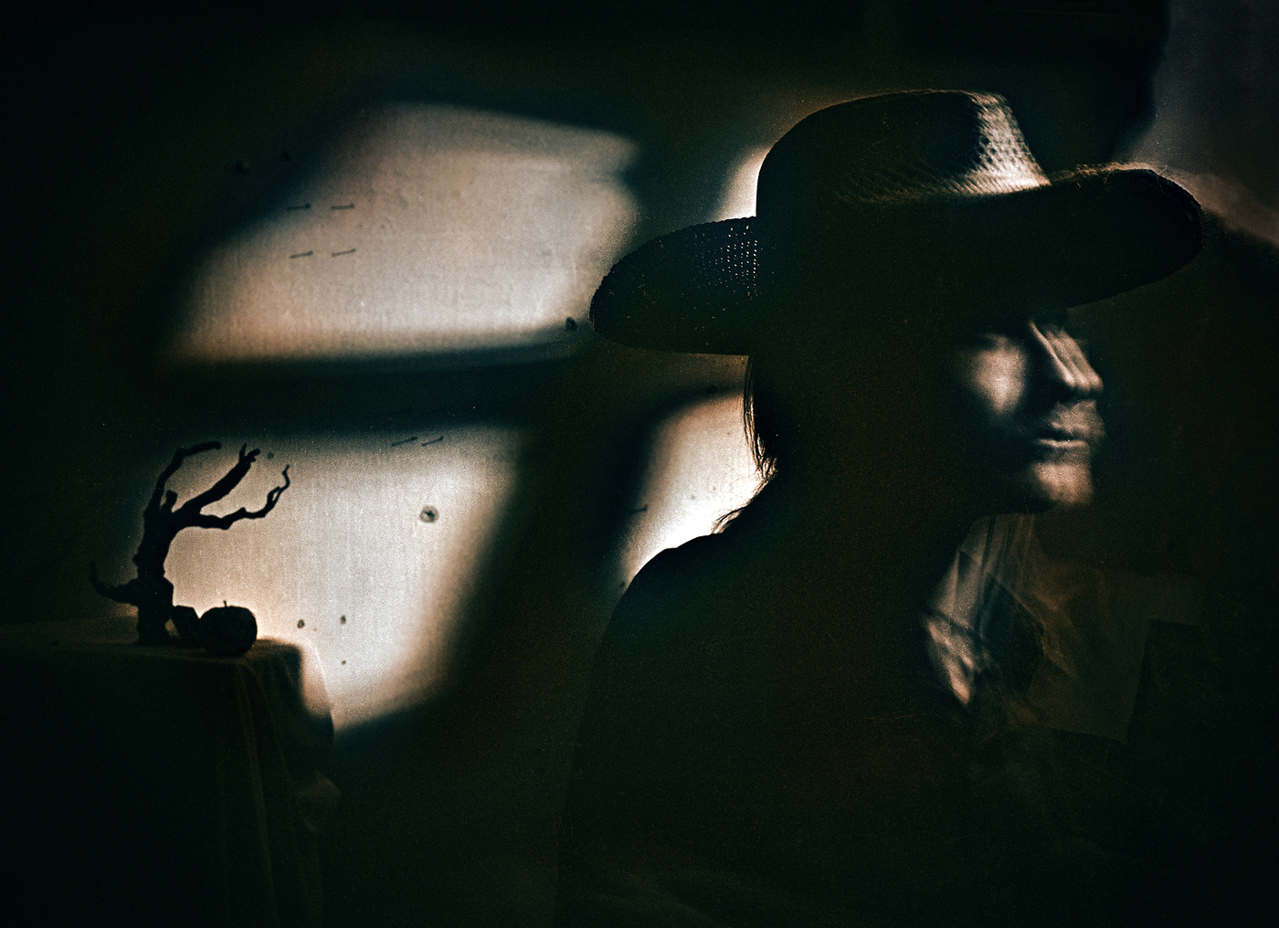 лунный портрет