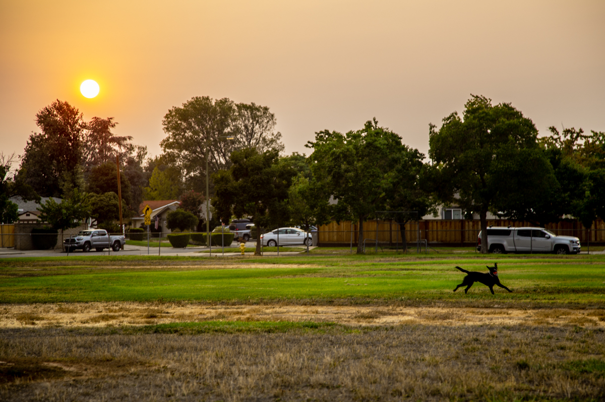Вечерний час