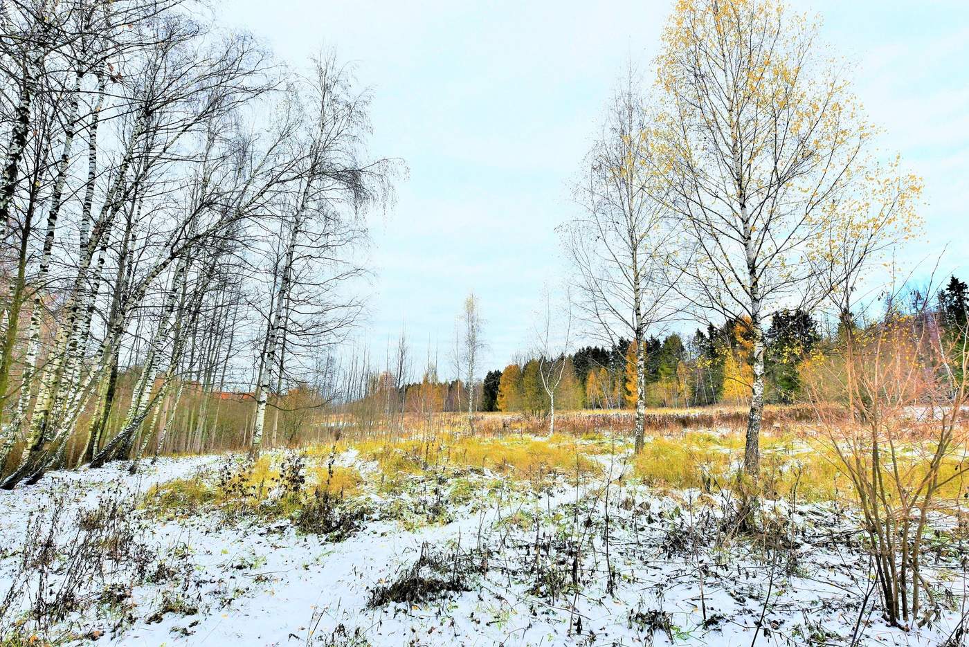 "А вчера обещали синоптики снег ..."