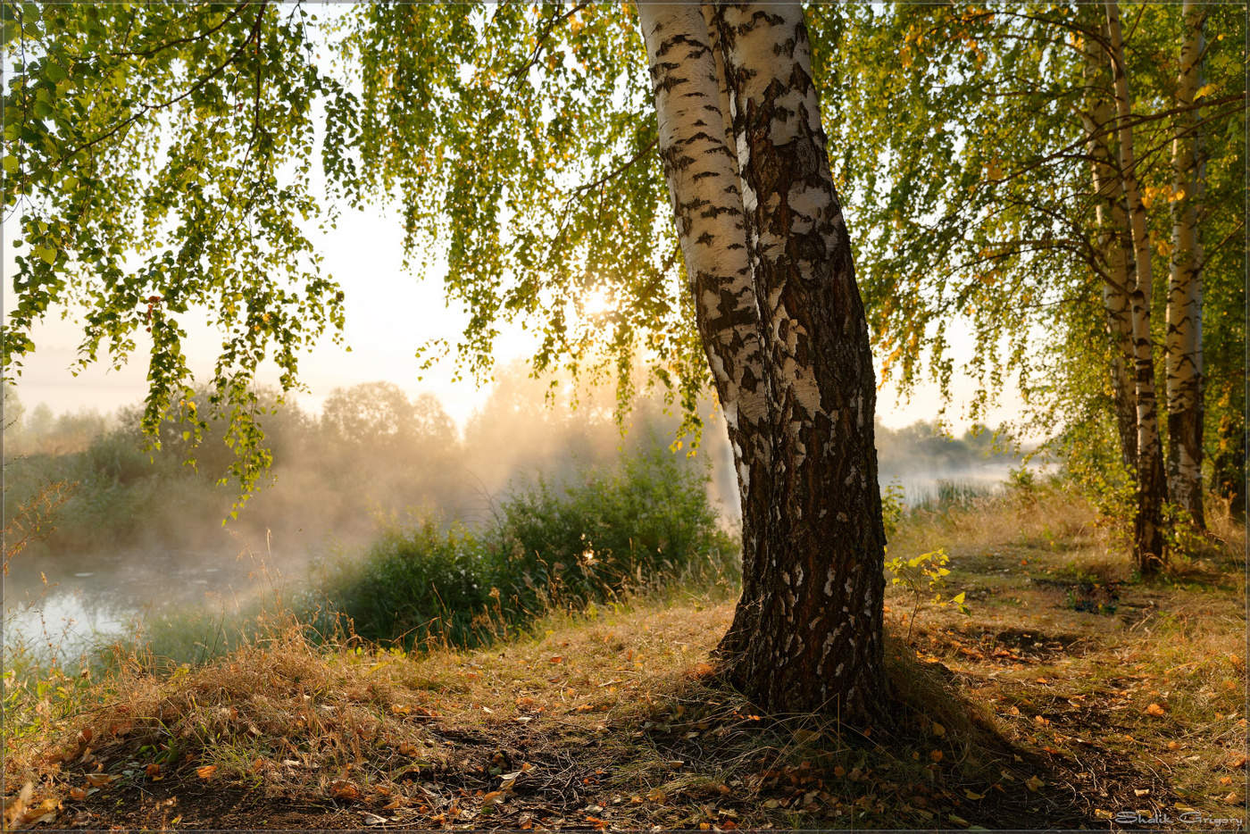 Радость жизни