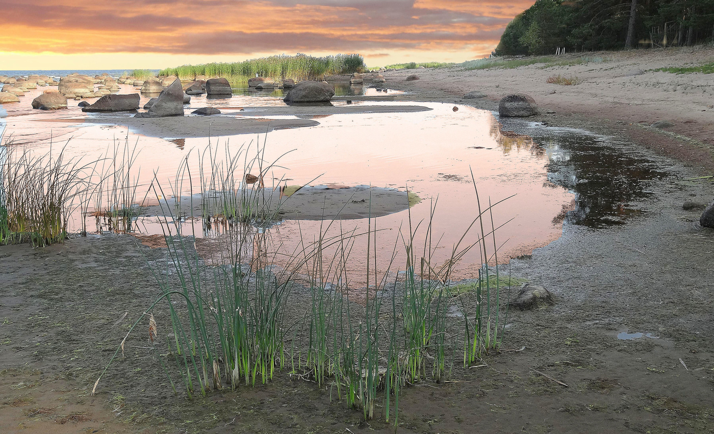 Отлив на Заливе