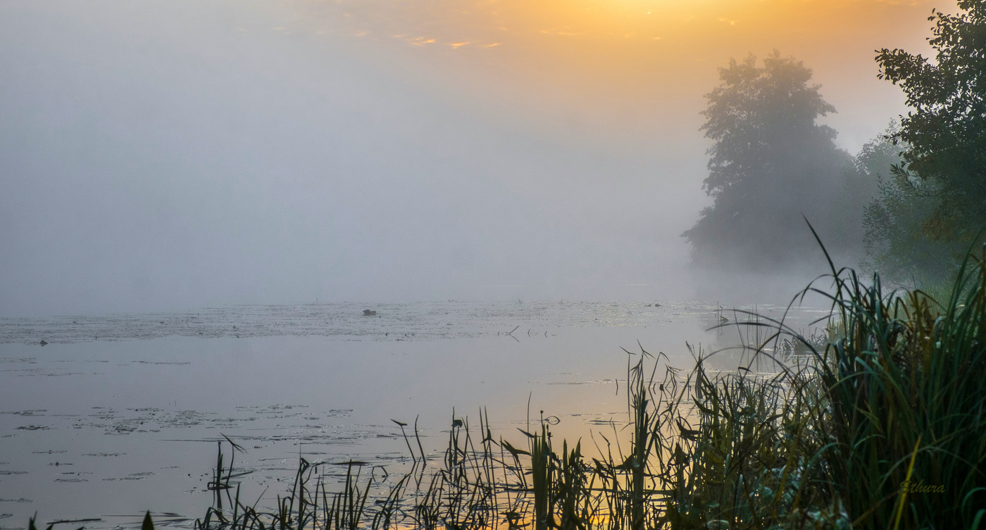 Осень, утро, туман.