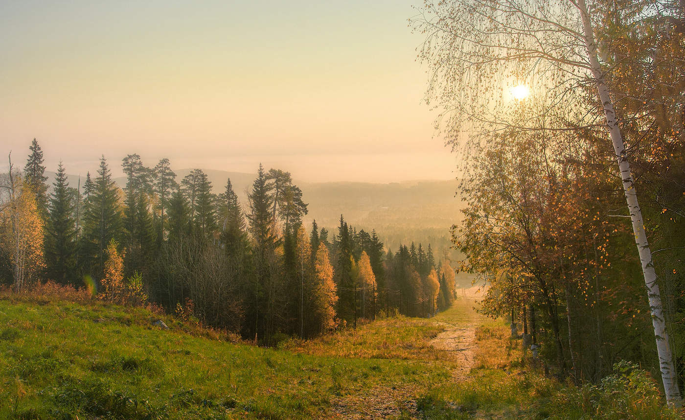 Осеннее утро