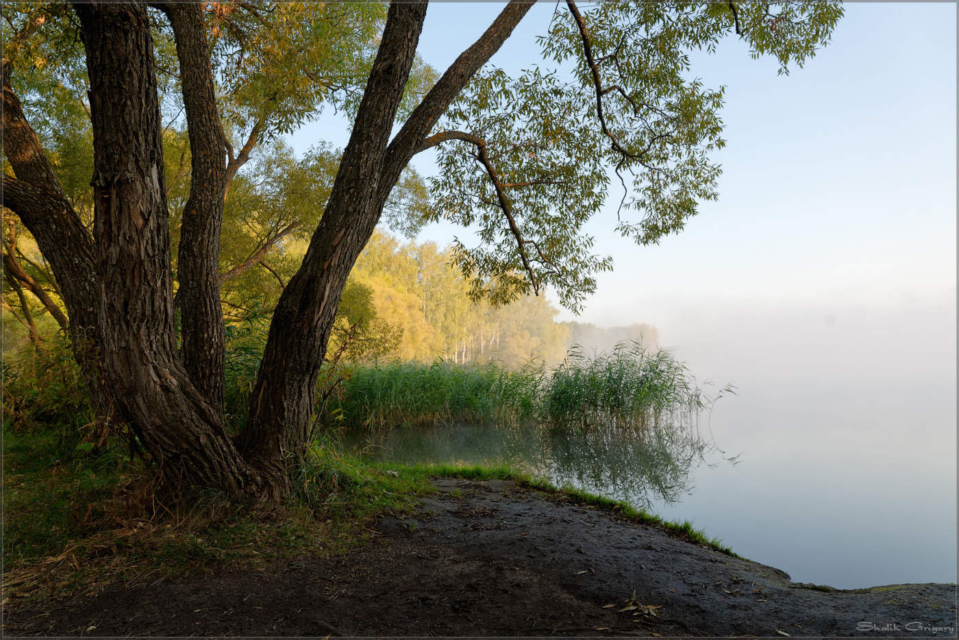 Утренний туман