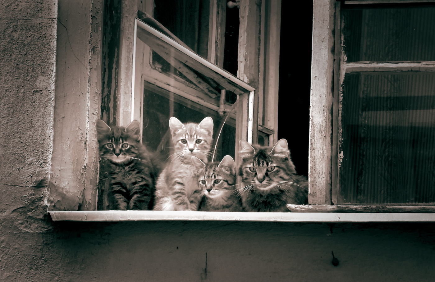 семейный портрет