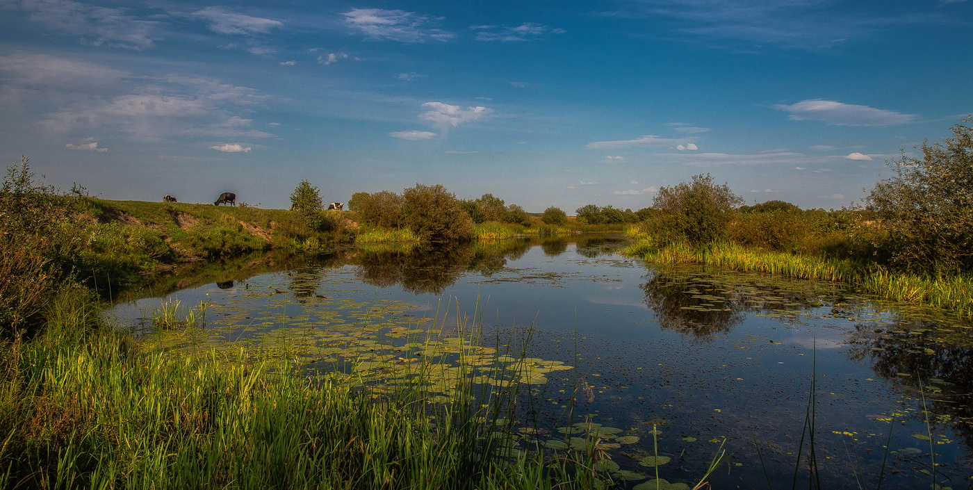 Вечер тихо на землю ложился...