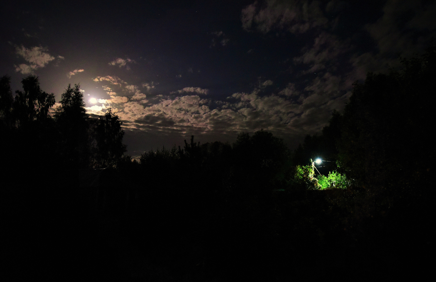 "Собаки лают, да глядят мечтатели в окно..."