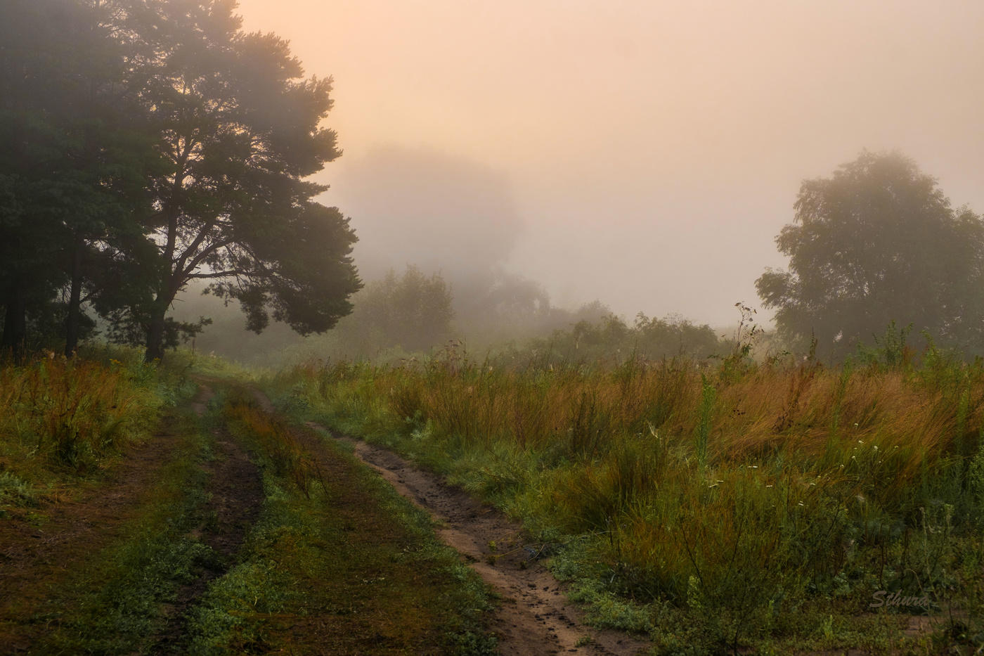 Дороги которые мы выбираем