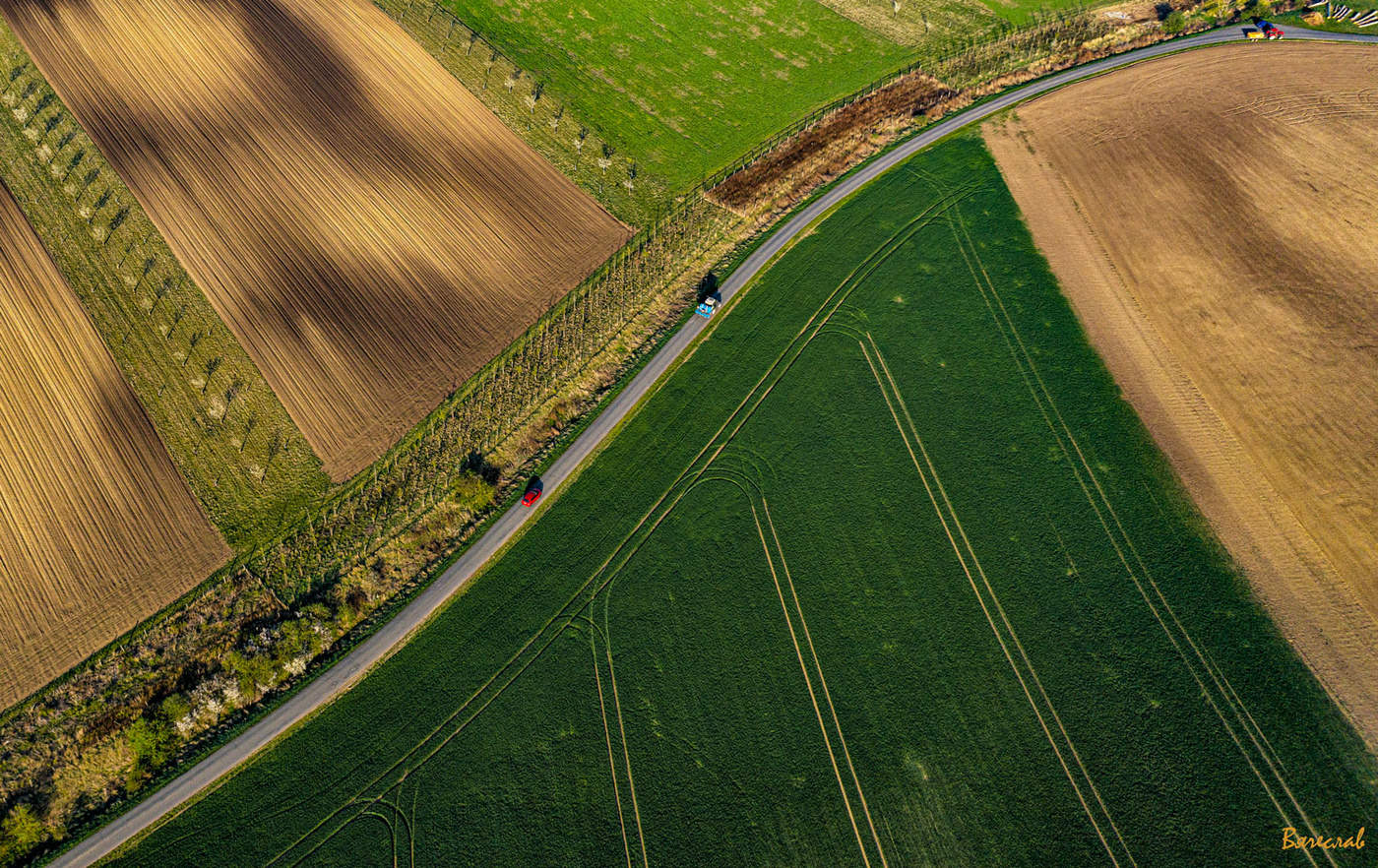 Дороги которые мы выбираем