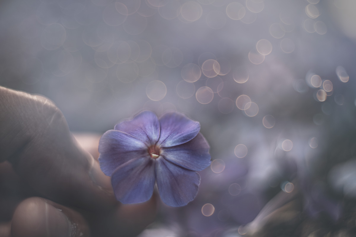 Летняя фантазия...