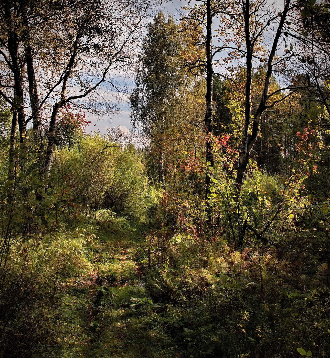 Дороги, которые мы выбираем