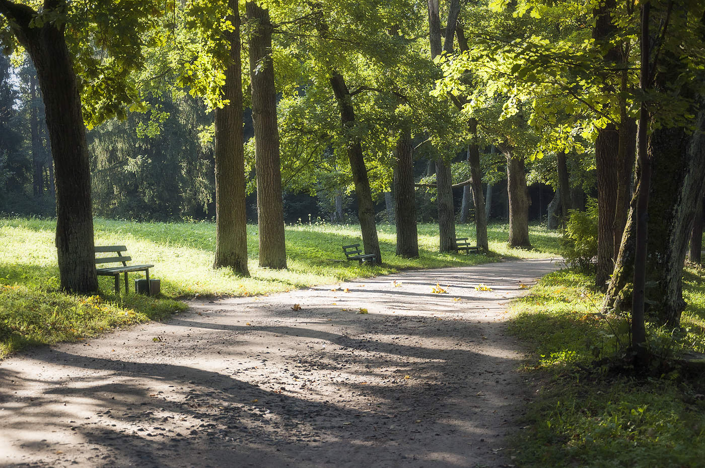 Дороги, которые мы выбираем
