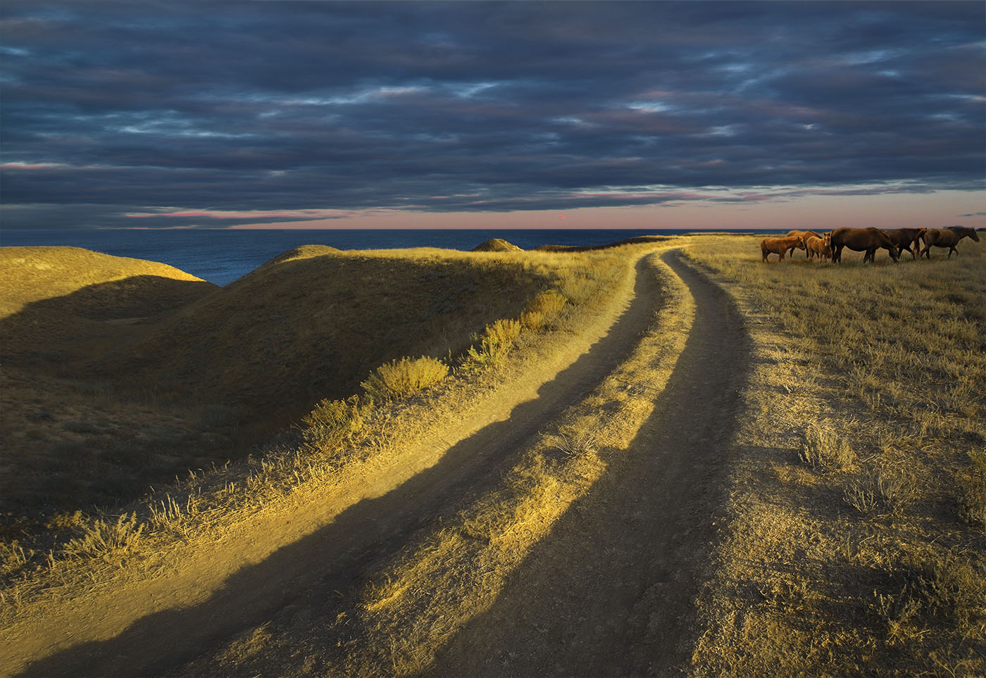 Дороги, которые мы выбираем