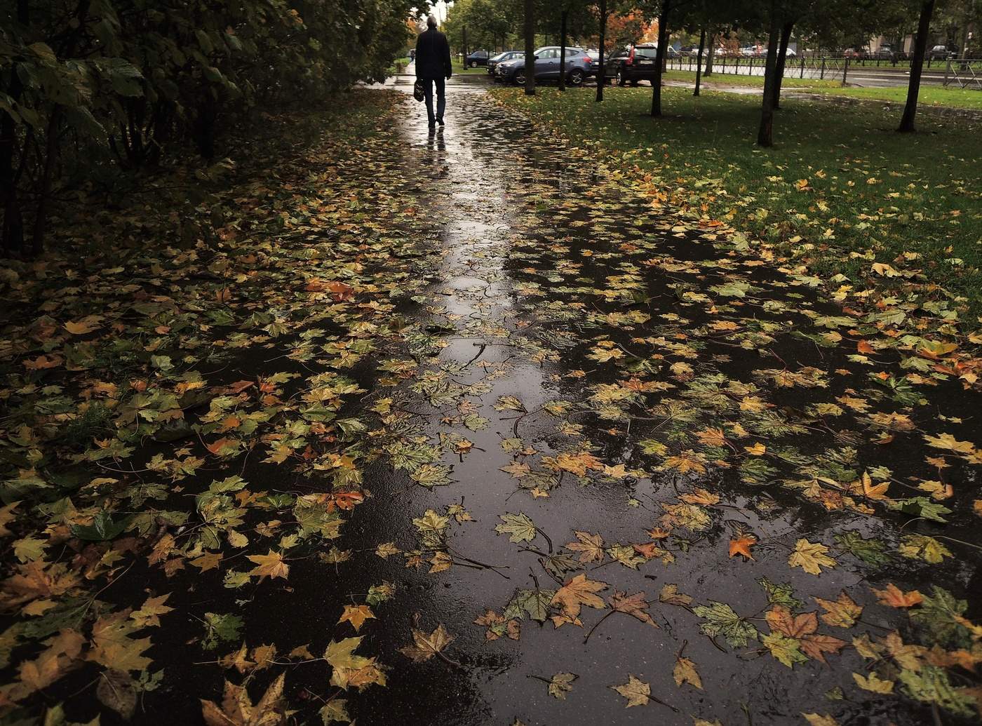 Дороги, которые мы выбираем