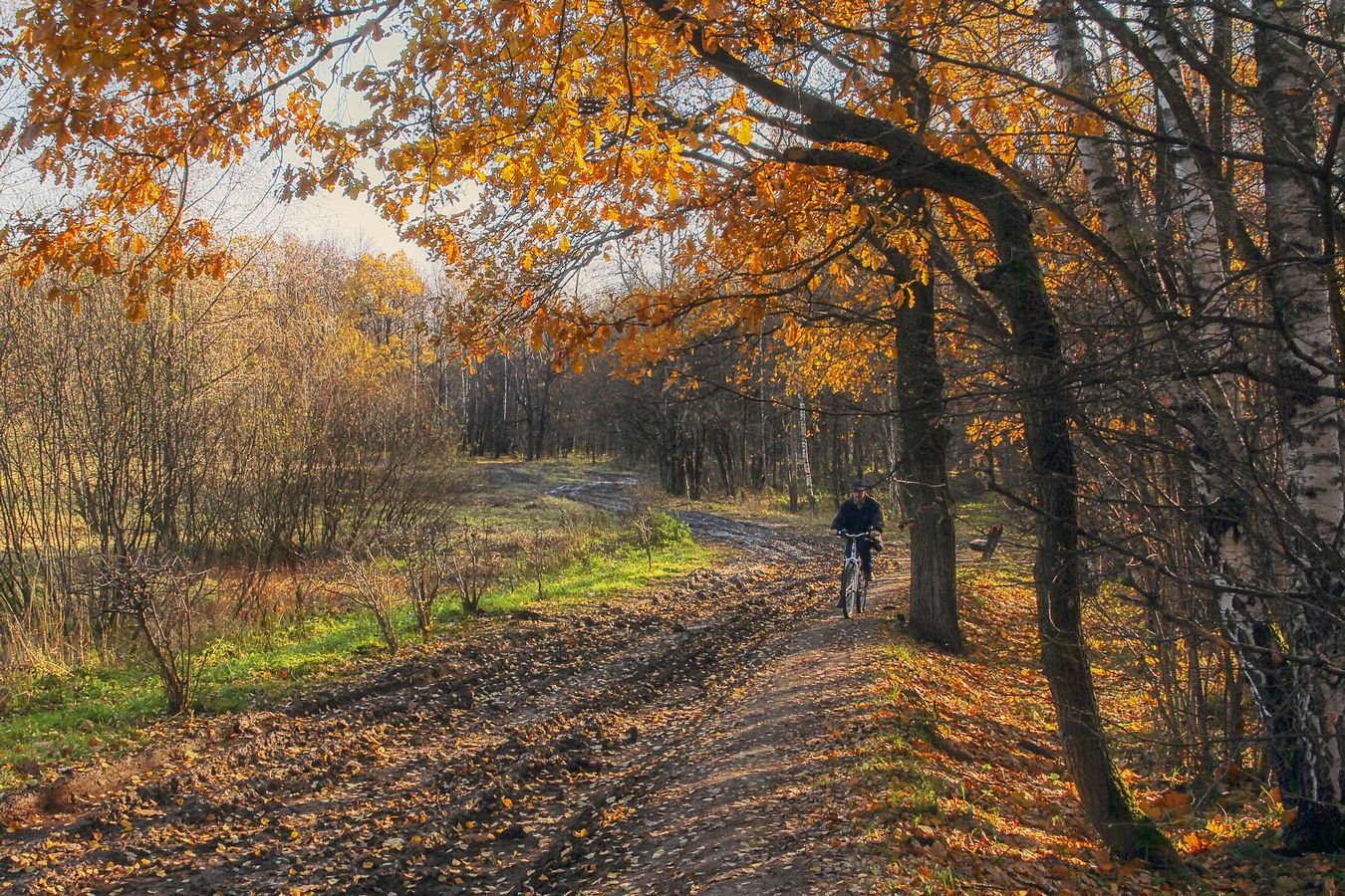 Дороги, которые мы выбираем