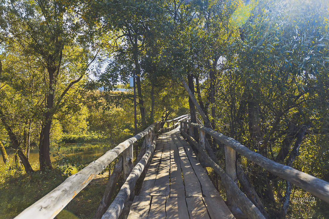 Дороги, которые мы выбираем