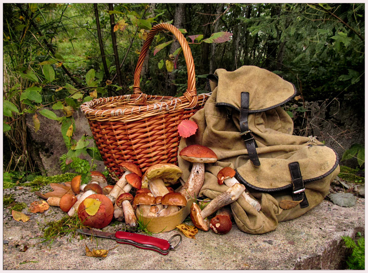 Straßen, die wir wählen