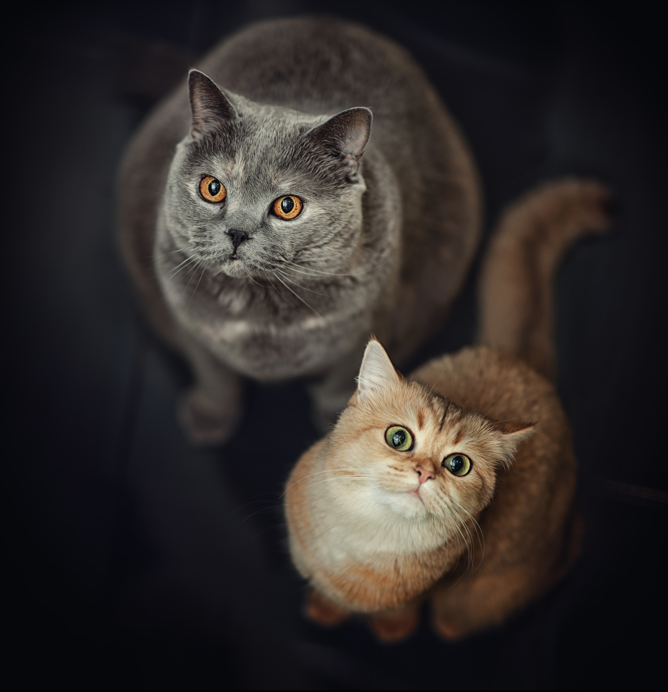 В ожидании обеда..))