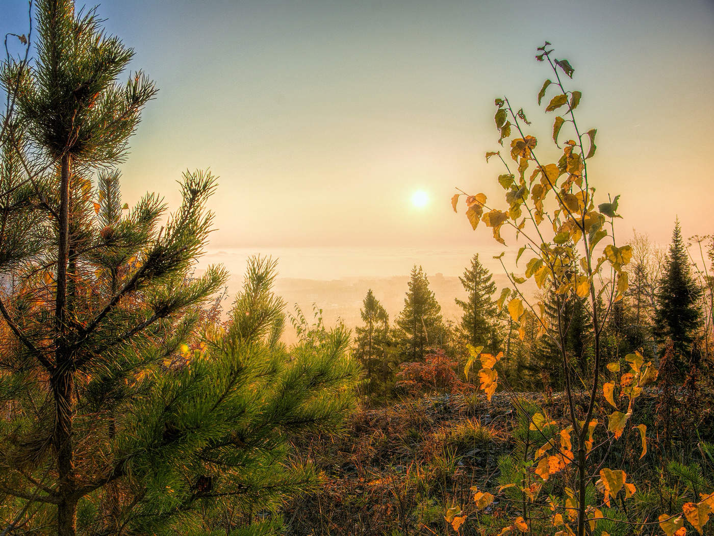 Сквозь дымку