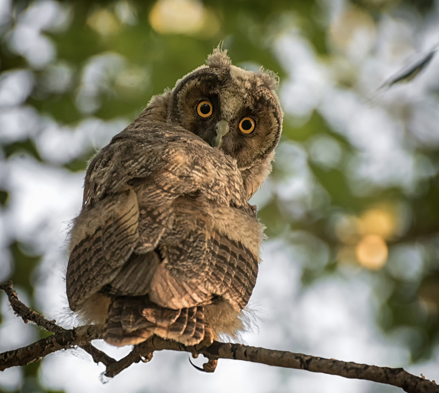 Не готова к фотосессии!