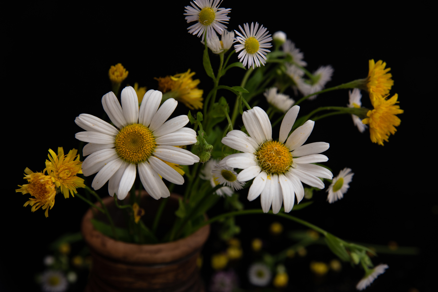 Привет из лета