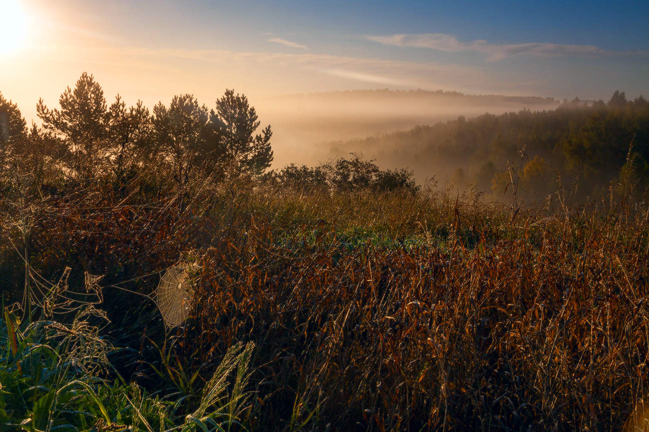 Спряталась