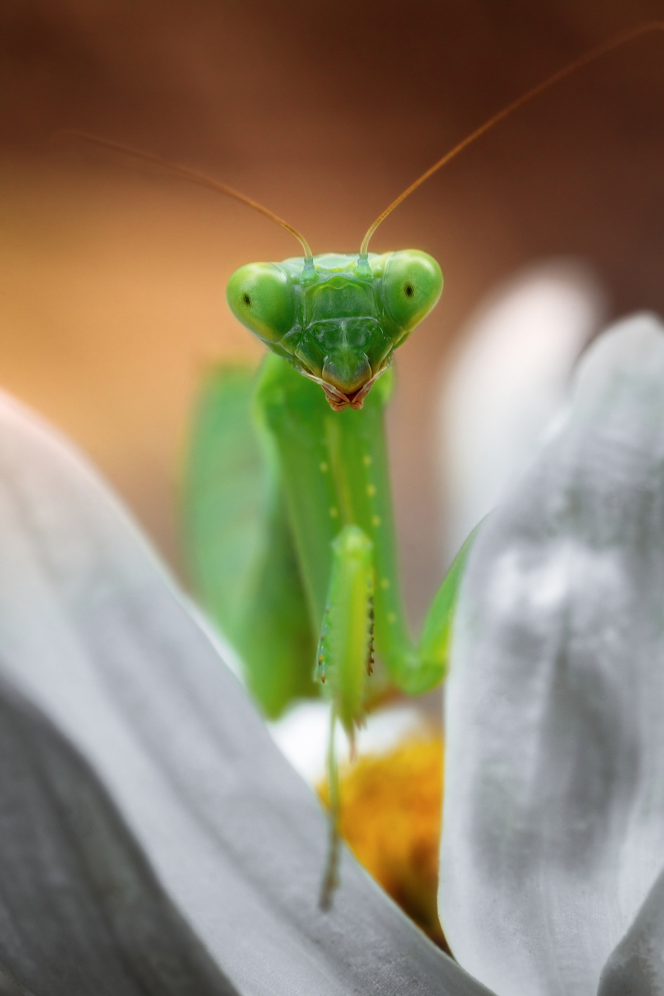 Ушедшие краски лета.