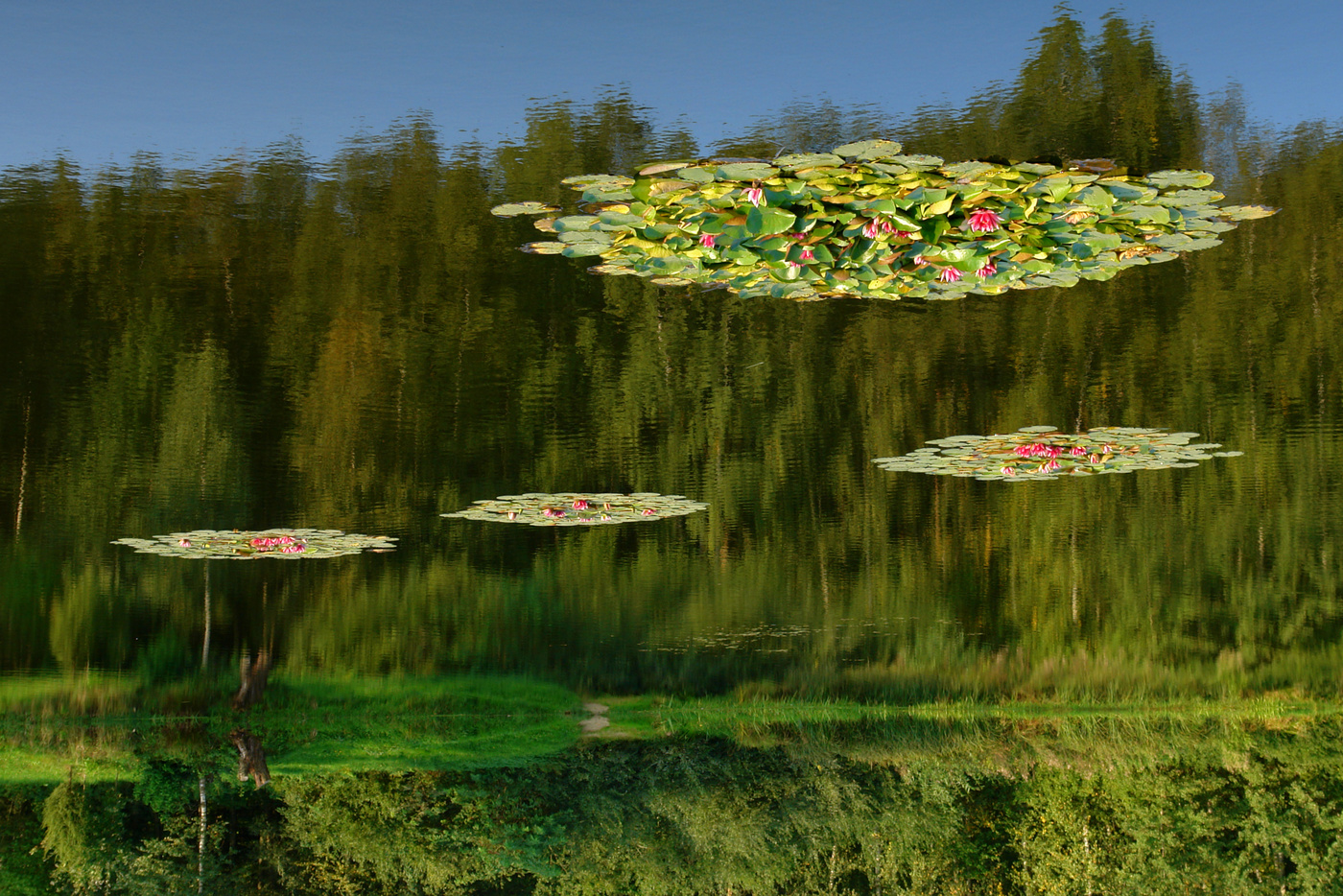 Нереальная реальность.