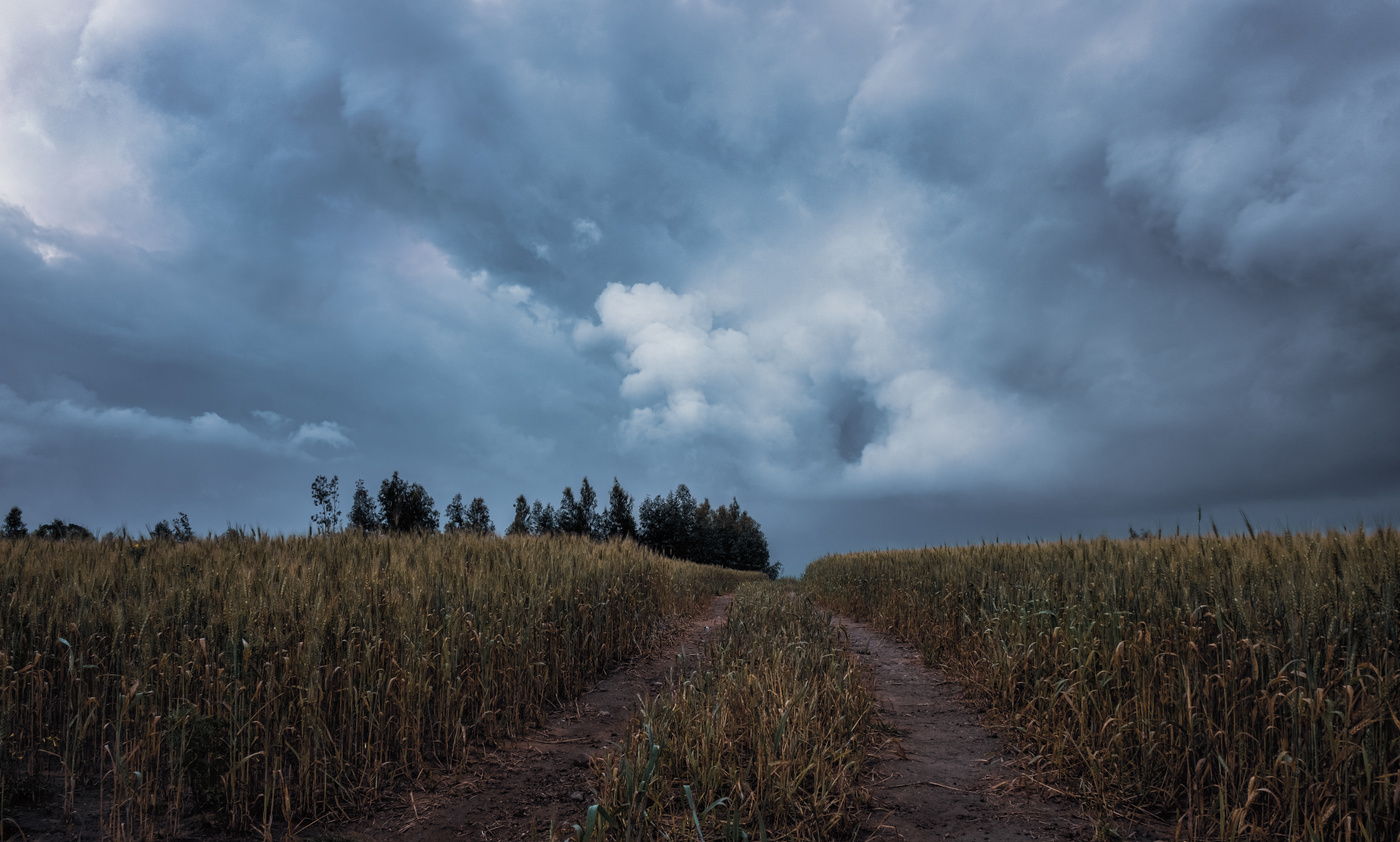 Bad Weather(the portal is open)