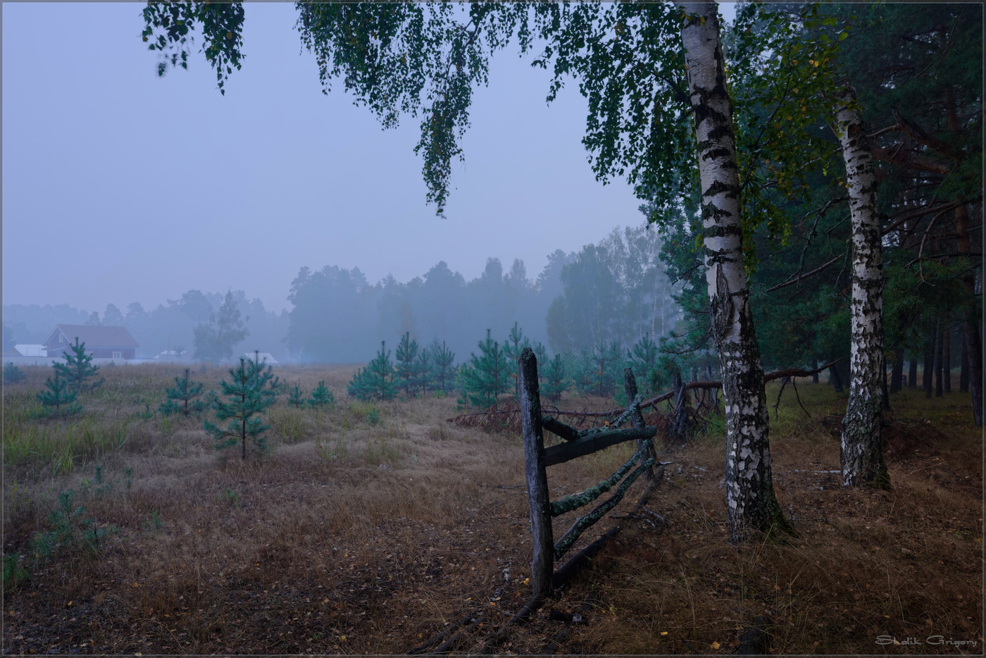 Синий рассвет