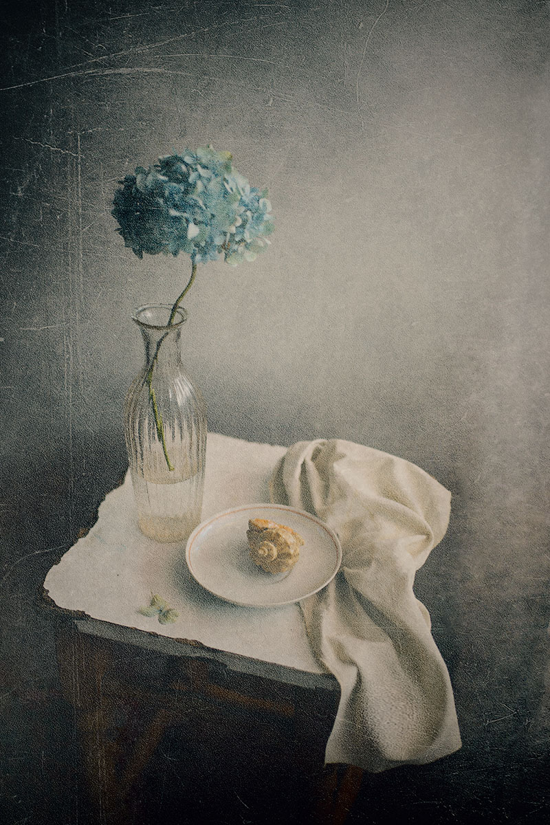 С ракушкой...