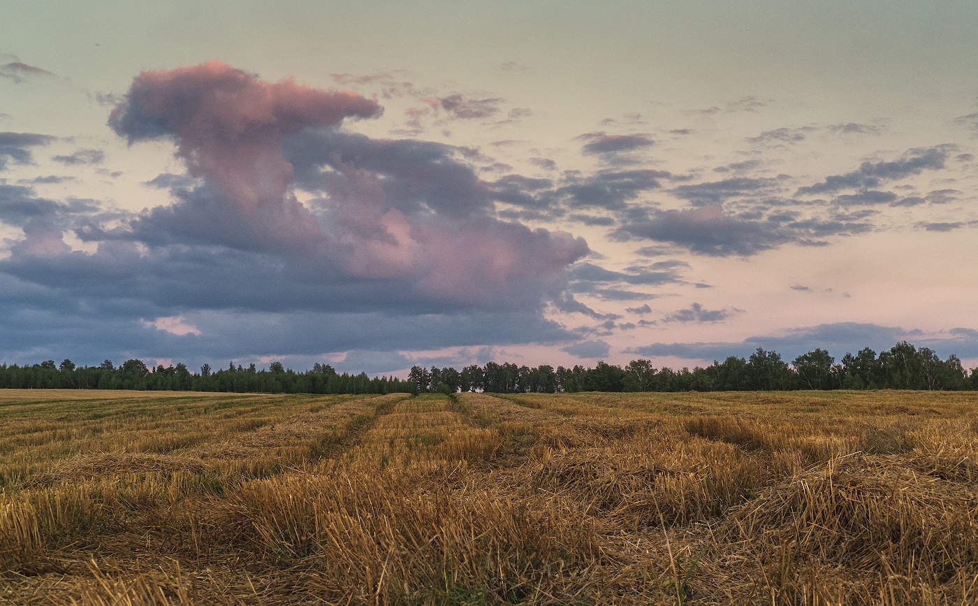 После жатвы