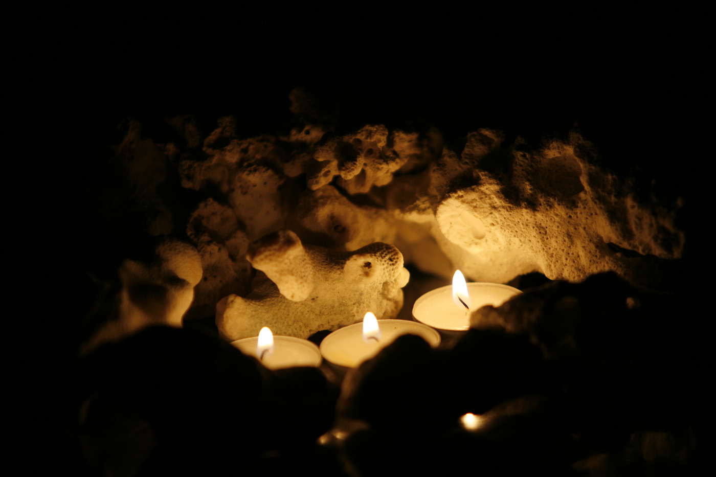 Домашняя фантазия