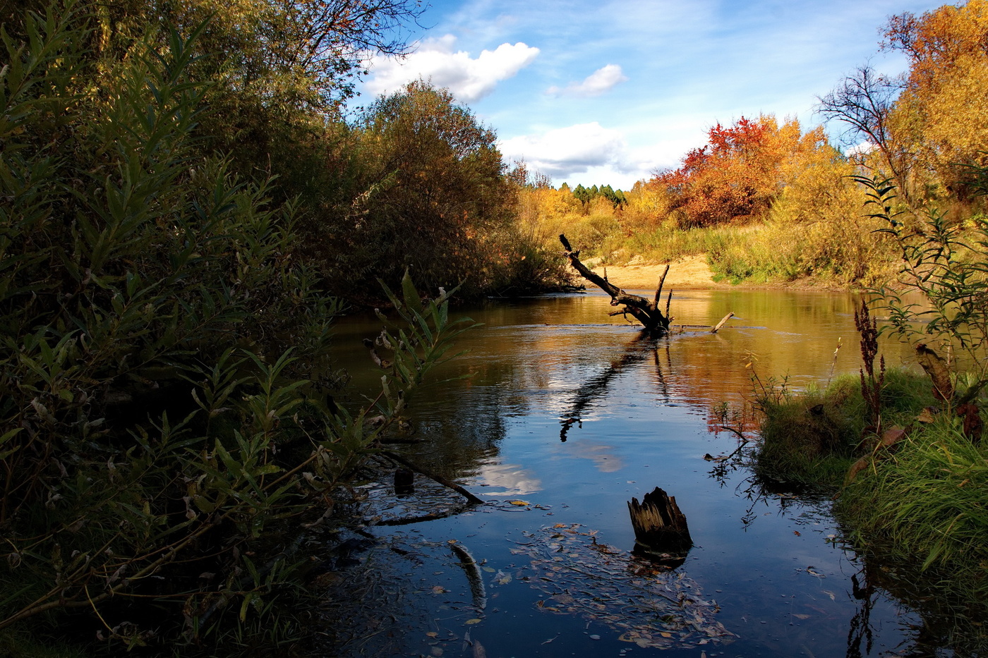 Осенняя речка.