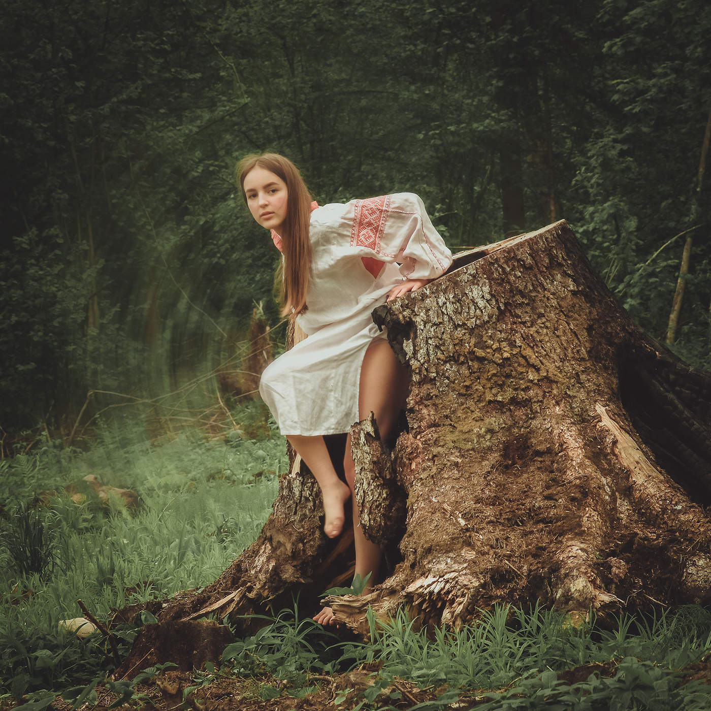 встреча в лесу