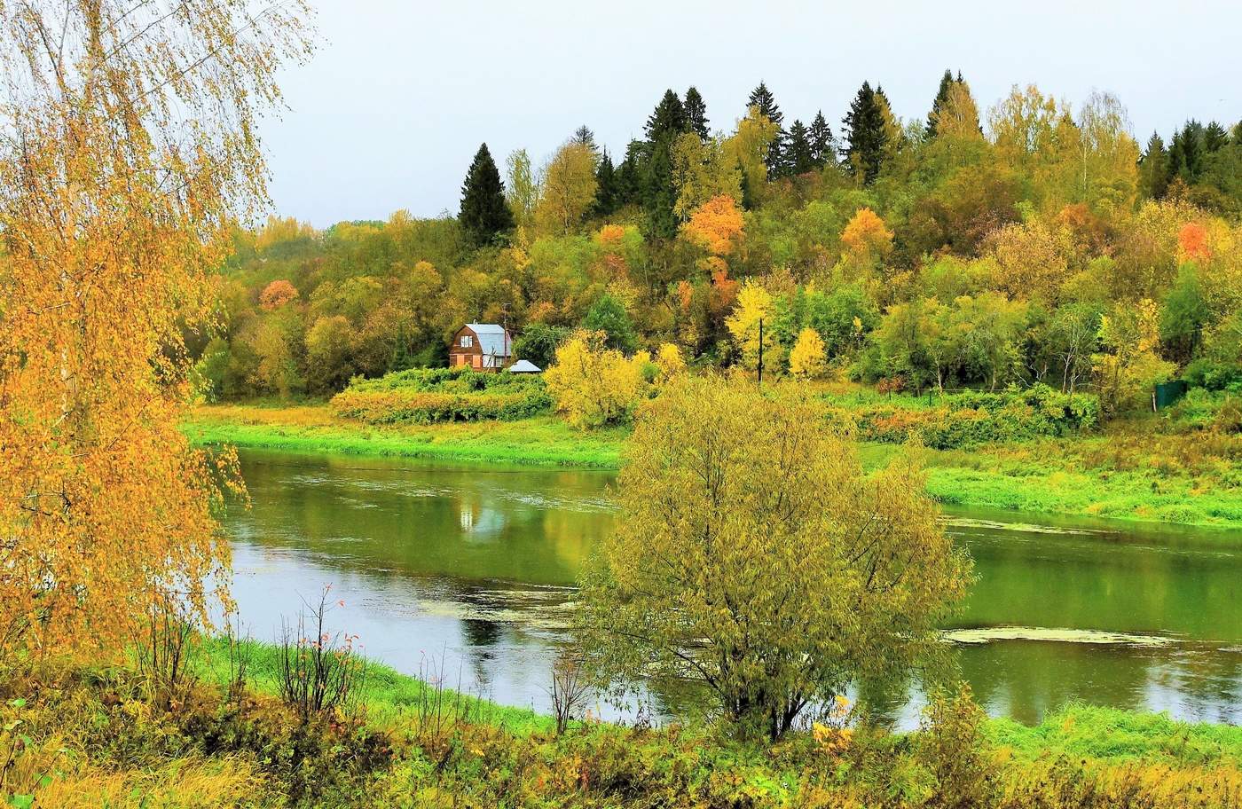 "Осень в шубу желтую одета ..."