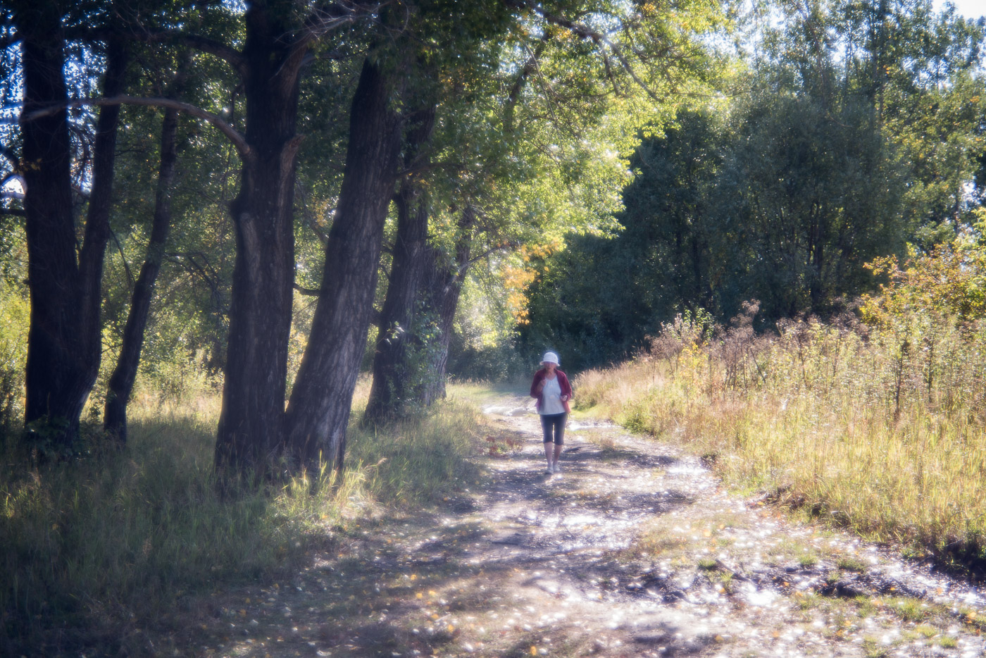 Мечтательная пятница