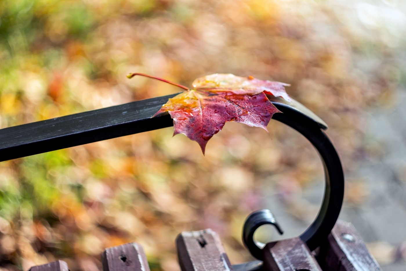 Мечтательная пятница