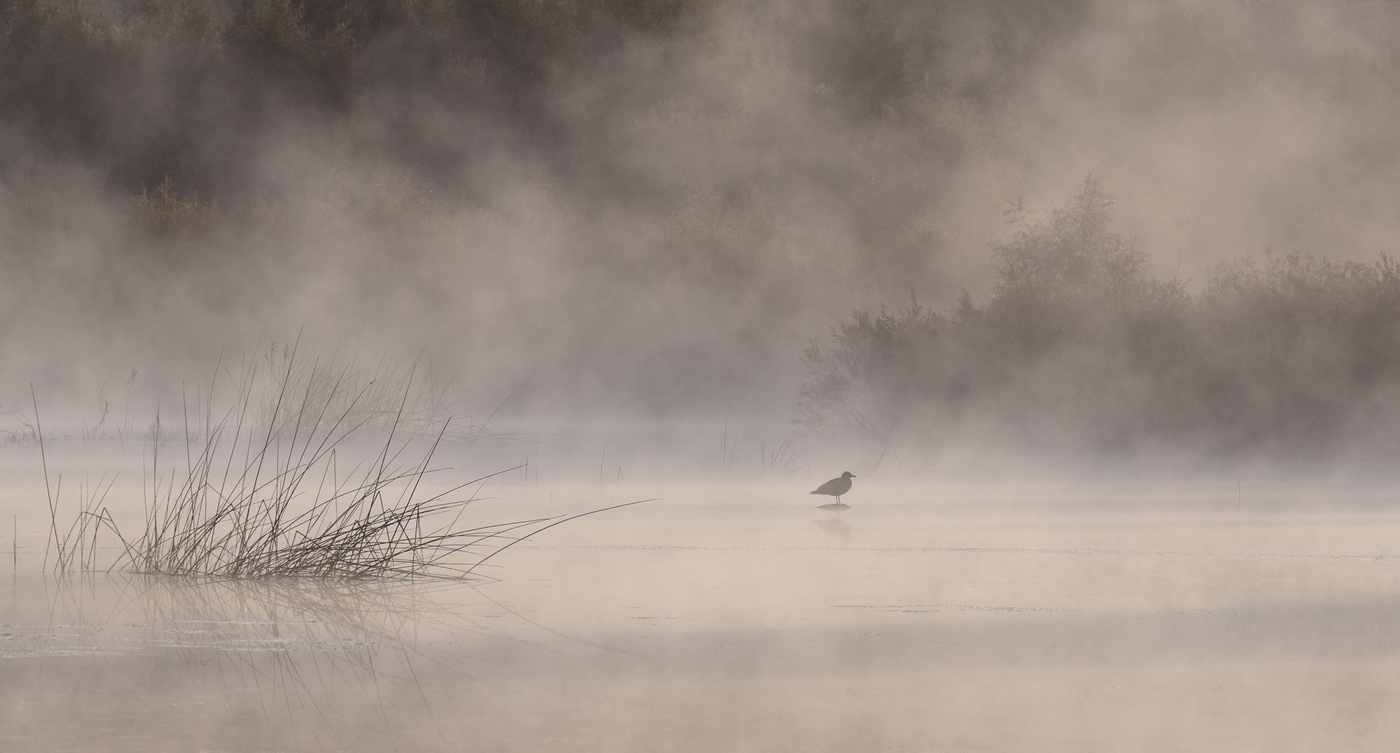 Мечтательная пятница