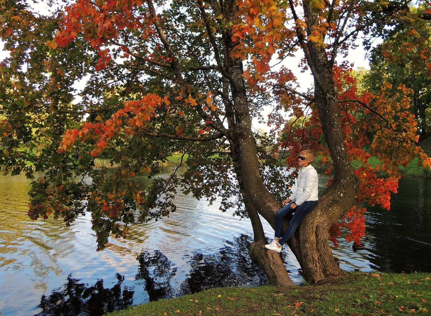 Мечтательная пятница
