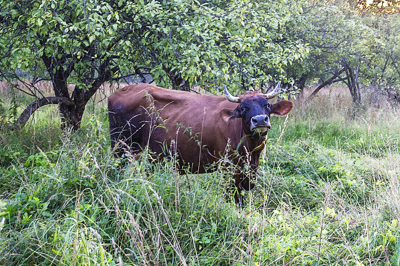 Мечтательная пятница