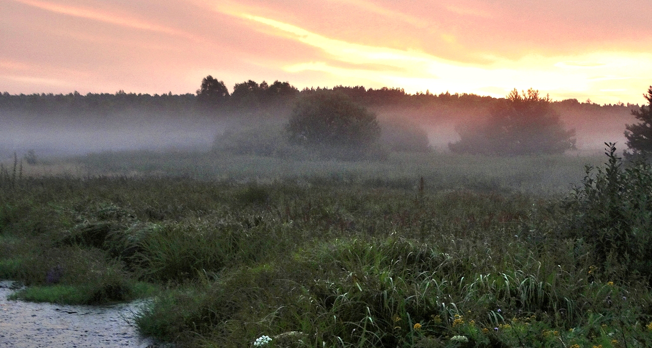 Вечерний туман и роса
